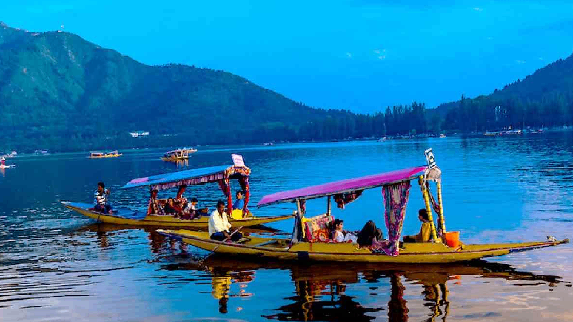 Splendid Kashmir Tour